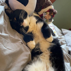 Meet your Posher, Summerforev